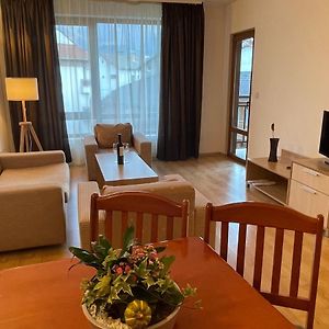 Apartament z 1 sypialnią